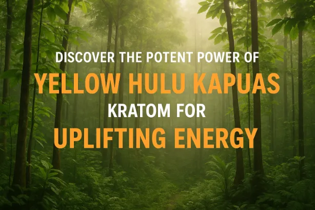 Power of Yellow Hulu Kapuas Kratom