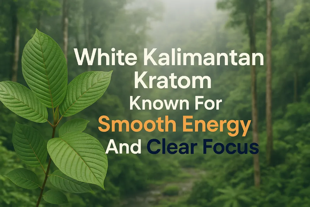 White Kalimantan Kratom