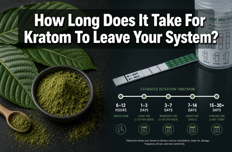 How Long Does It Take For Kratom To Leave Your System