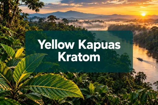 yellow kapuas kratom